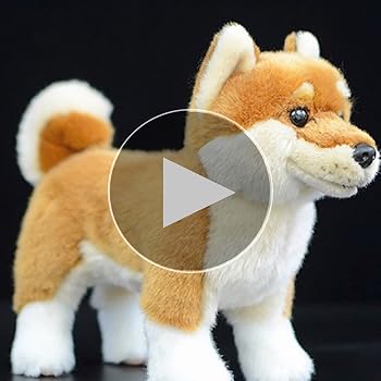 Amazon.com: Kawaii Black Shiba Inu Dog Plush Toy Realistic